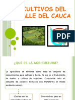 Cultivos Del Valle Del Cauca