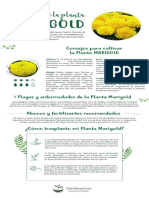Guia de Cuidado Planta Marigold PDF