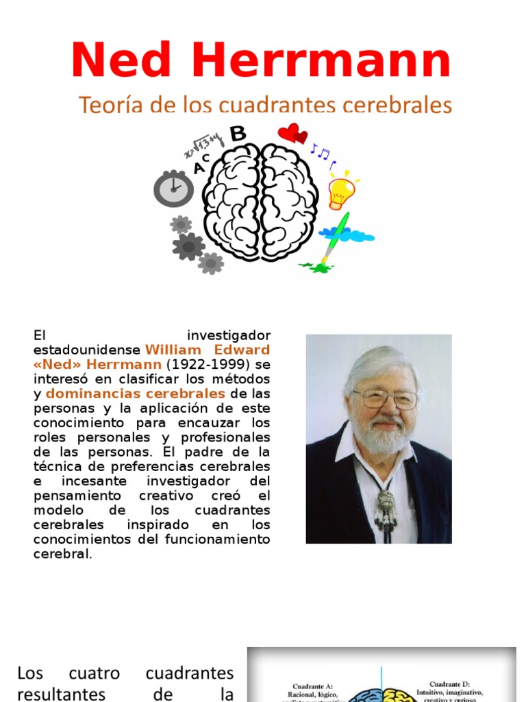 Ned Herrnmann Los Cuatro Cuadrantes | PDF | Cerebro | Enseñanza de  matemática