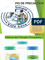 Historia y componentes del Principio Precautorio