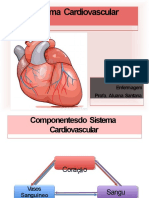 Fisiologia cardiovascular 1 2019.2.pptx