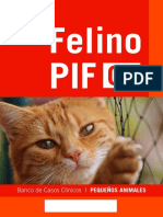 Caso Clinico Felino