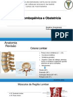 Região Lombopélvica e Assoalho Pélvico PDF