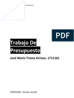 Trabajo Presupuesto 3