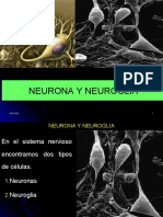 neuroglias2020