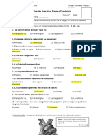 Sumativa - Sistema Circulatorio