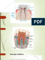 Etiología de La Enfermedad Periodontal