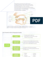 DIAPOSITIVAS ESPAÑOL