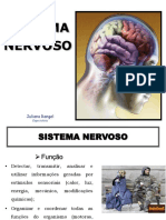 1 Sistema Nervoso