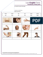 body_parts_-_exercises.pdf