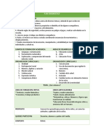 Plan Diagnostico Guadalupe