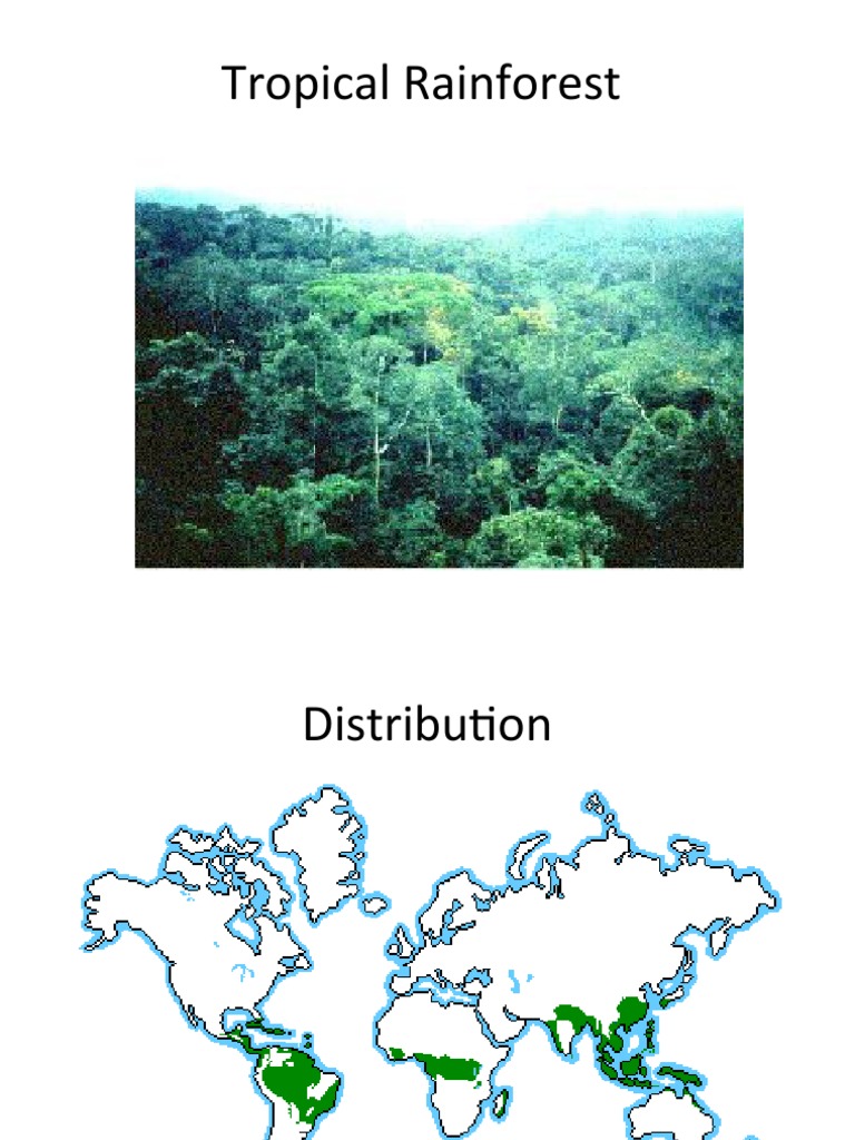 Tropical Rainforest Distribution and Climate | PDF | Rainforest | Trees