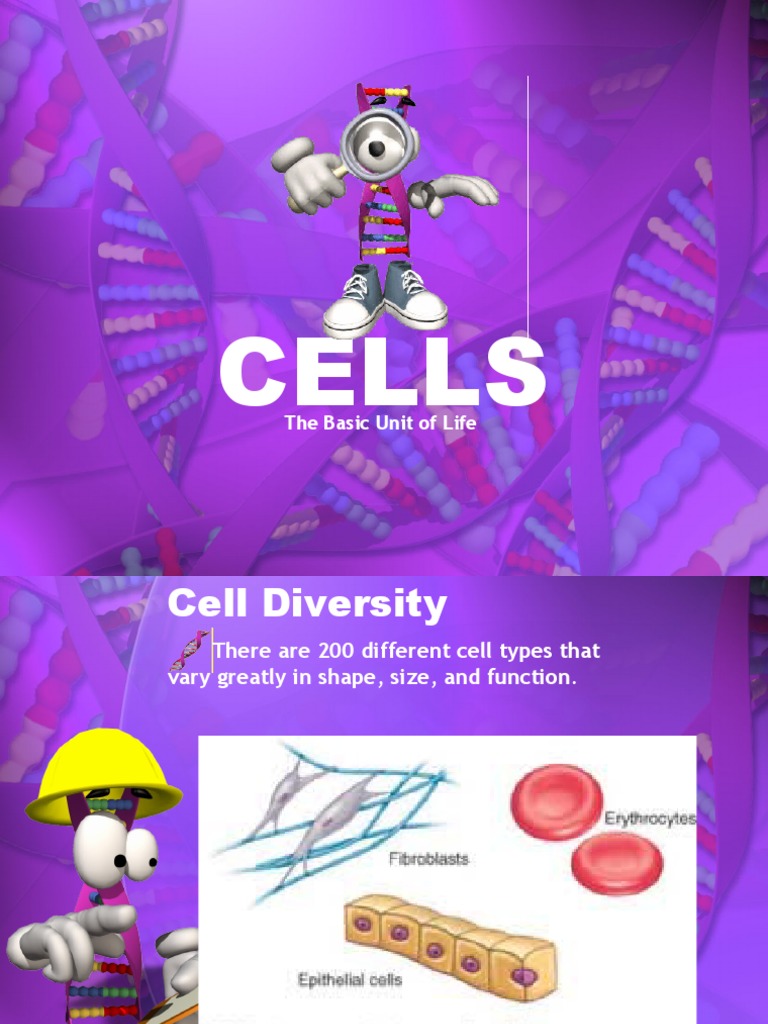Understanding Cell Types and Functions | PDF