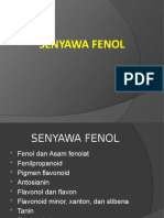 2. senyawa fenol (1).pptx