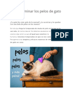 Cómo eliminar los pelos de gato en casa