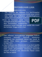 FISIOLOGI PENYEMBUHAN LUKA HAIKAL.pptx