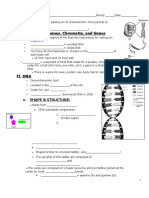 DNA_student Notes.docx