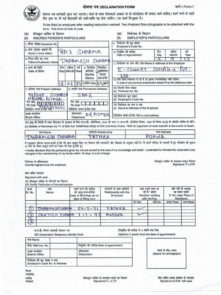 Filled Sample ESI Form PDF PDF