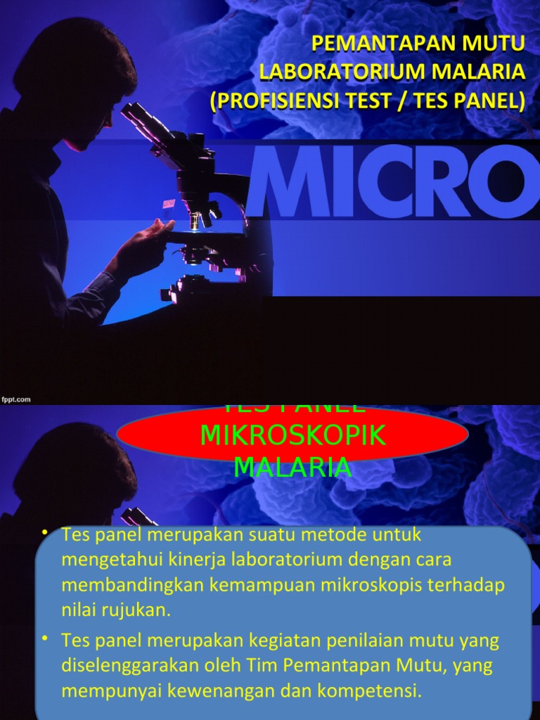 Tes Panel - Ok | PDF