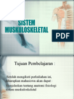 ANATOMI FISIOLOGI TULANG