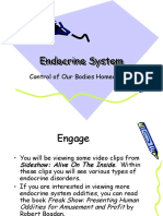 10 Biology 1 - 16 - 07 Endocrine System Feedback Systems