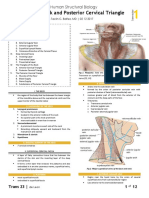 GROSS - 1S23 - Neck and Posterior Cervical Triangle PDF