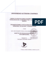 Tesis - Rodríguez Hernández Obdulia PDF
