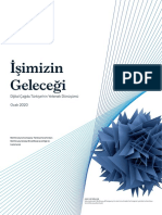 Isimizin Gelecegi McKinsey Turkiye Raporu - Ocak 2020