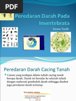 Download Damar - Peredaran Darah Pada Invertebrata by Damar Taufik Kurniawan SN45123904 doc pdf