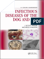 Infectious Diseases of The Dog and Cat Nodrm PDF