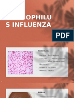 Haemophilus Influenza