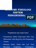 Ananatomi Fisiologi Sistem Indera