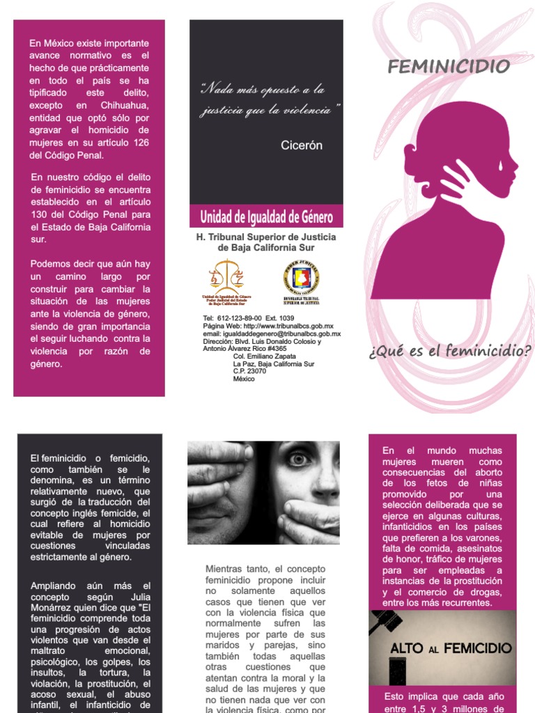 Triptico Feminicidio 1 La Violencia Contra Las Mujeres La Sexualidad Humana
