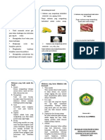 Leaflet Nutrisi Dwi