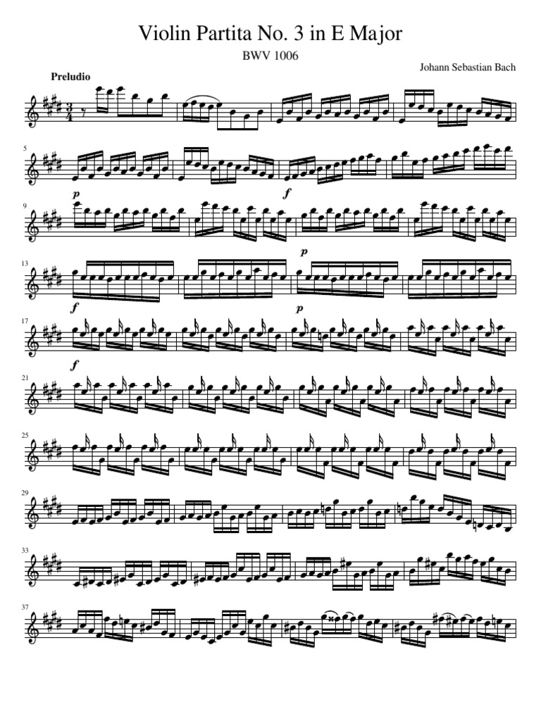 violin Violin Classical Music