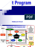 Audit Program Ppi