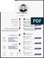 Modelo Curriculum Infografico