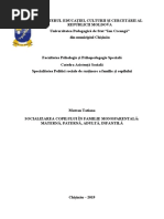 Familiile monoparentale.docx