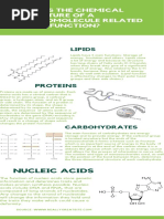 Macromolecule Infographic