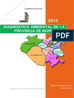 DIAG. AMBIENTAL 2014.pdf