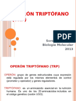 OPERÓN TRIPTÓFANO (trp)
