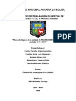 Planeacion Estrategica Pharmacentral Falta Parte Iris y Vane