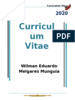 Curriculum Wilman