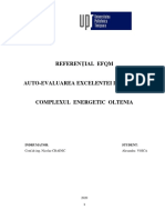 Proiect EFQM - VOICA ALEXANDRA (Finalizat) PDF