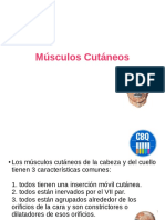 Musculos Cutc3a1neos y Masticadores PDF