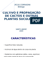 cactos-e-suculentas-pdf.pdf