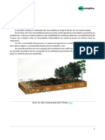 Sucessão Ecológica PDF