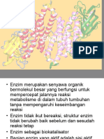 Enzim s1 Biokim 2018