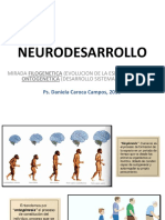 Tema 3 Neurodesarrollo Filo y Ontogenesis