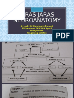 JARAS JARAS NEUROANATOMY 2018 Baru